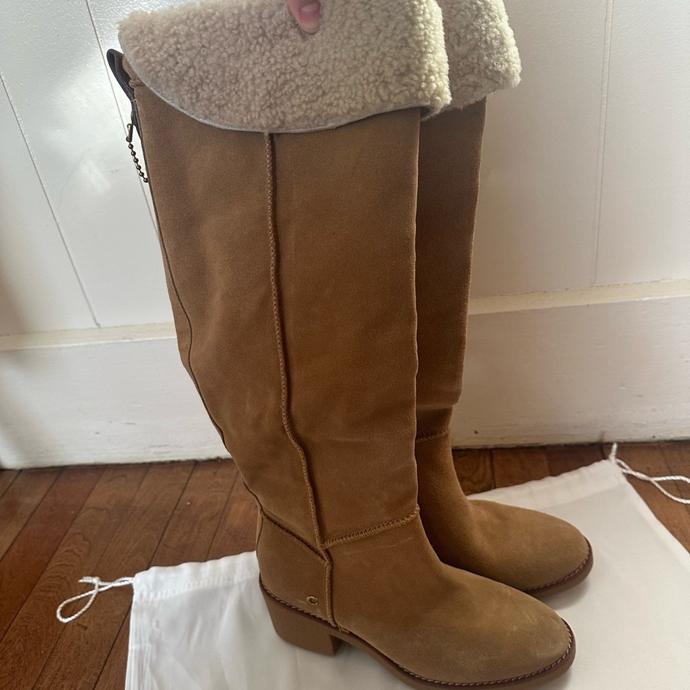 Janelle Boot (Coach) over the knee suede boot